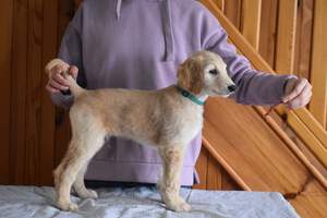 athos3